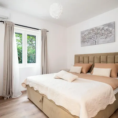 Luka&ivan 150 M From The *